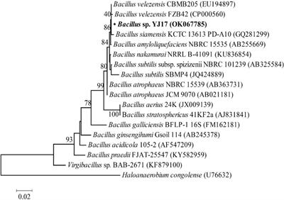 Isolation, Identification and Characterization of Two Kinds of Deep-Sea Bacterial Lipopeptides Against Foodborne Pathogens